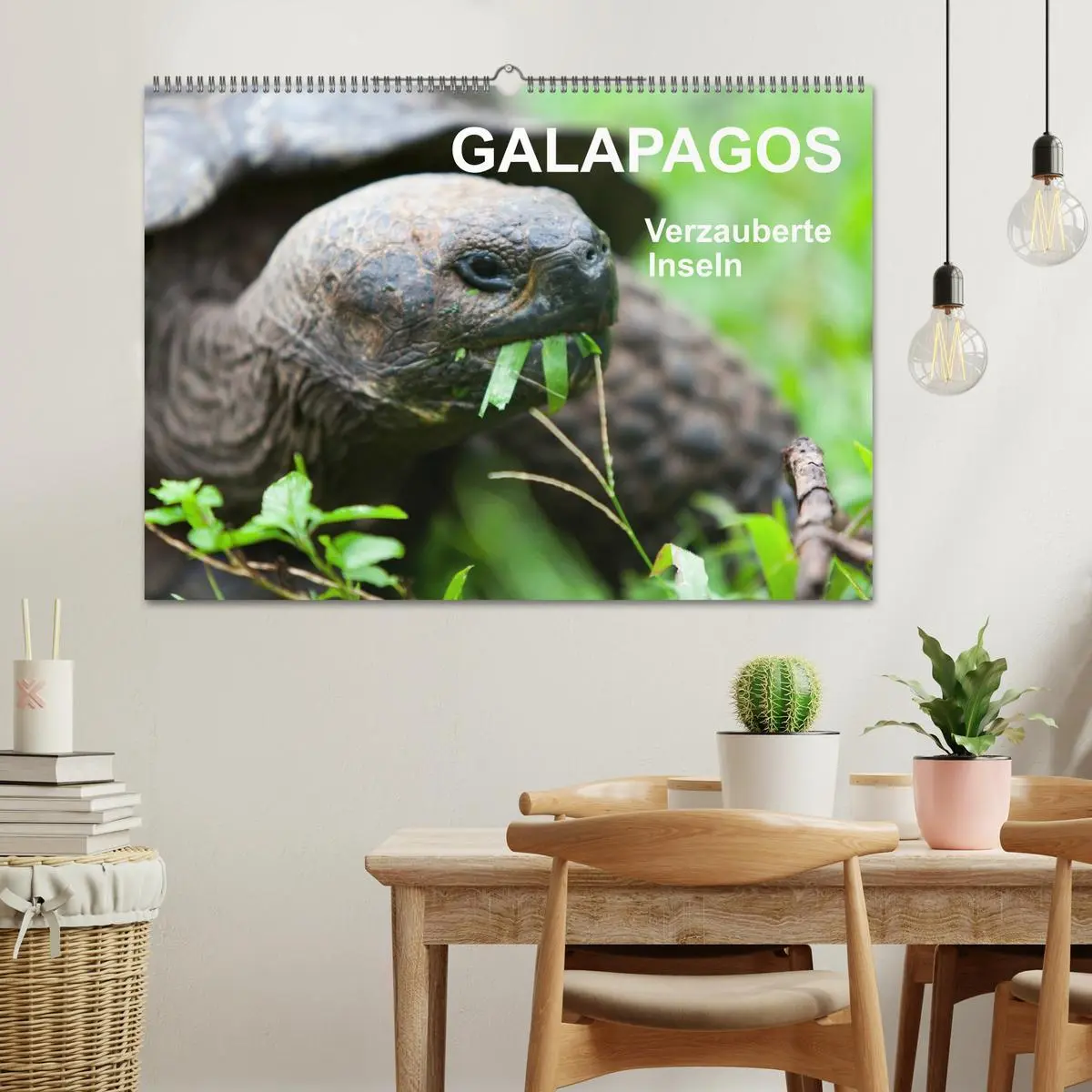Bild: 9783516076554 | Galapagos. Verzauberte Inseln (Wandkalender 2026 DIN A2 quer),...