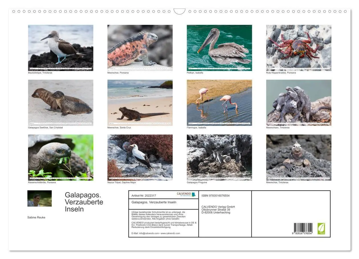 Bild: 9783516076554 | Galapagos. Verzauberte Inseln (Wandkalender 2026 DIN A2 quer),...