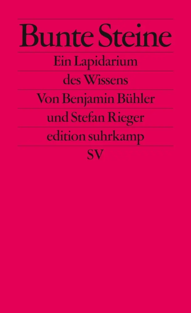Cover: 9783518126554 | Bunte Steine | Ein Lapidarium des Wissens | Benjamin Bühler (u. a.)