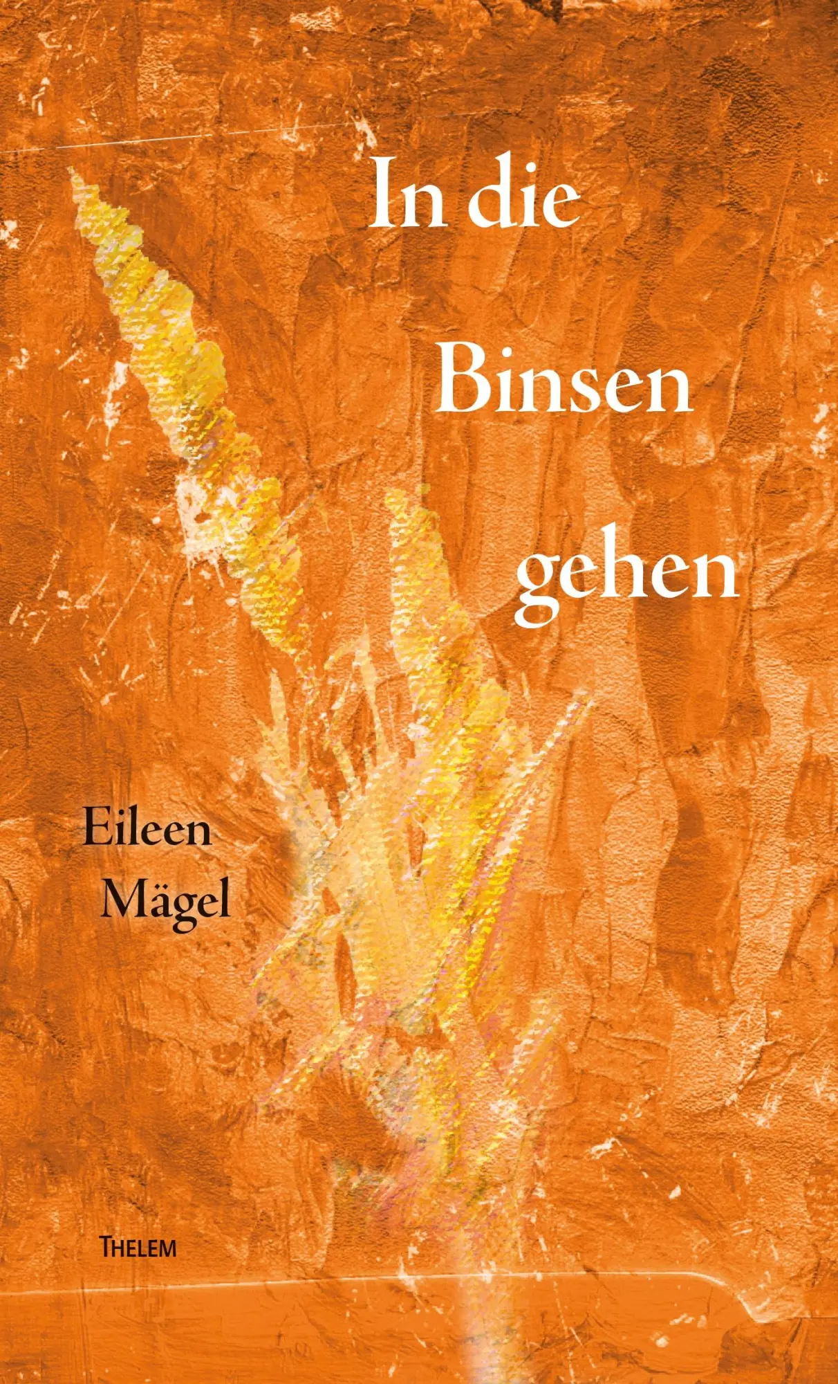 Cover: 9783959086554 | In die Binsen gehen | Gedichte | Eileen Mägel | Buch | 60 S. | Deutsch