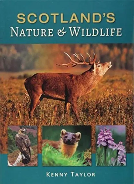 Cover: 9781842046654 | Scotland's Nature &amp; Wildlife | Kenny Taylor | Taschenbuch | Englisch