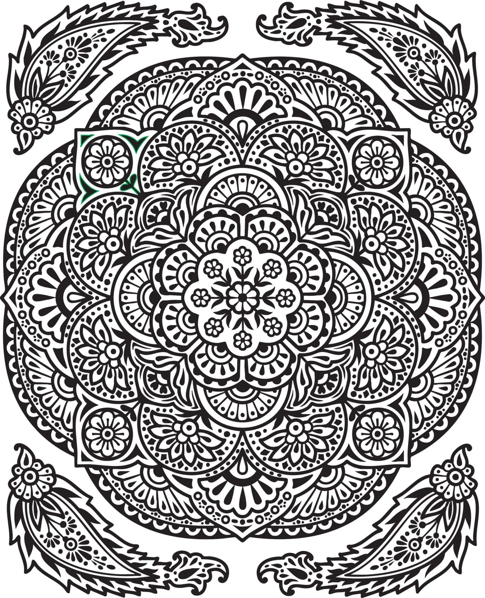 Bild: 9781035706754 | Mein Farbenzauber-Malbuch: Mandalas | Abigail Wheatley | Taschenbuch