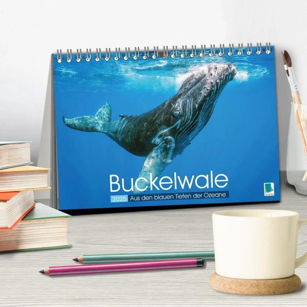 Bild: 9783383776854 | Buckelwale: Aus den blauen Tiefen der Ozeane (Tischkalender 2025...