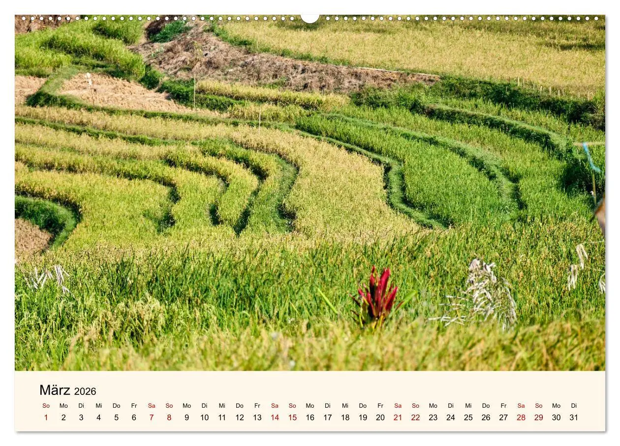 Bild: 9783457266854 | Sulawesi Im Reich der Torajas (hochwertiger Premium Wandkalender...