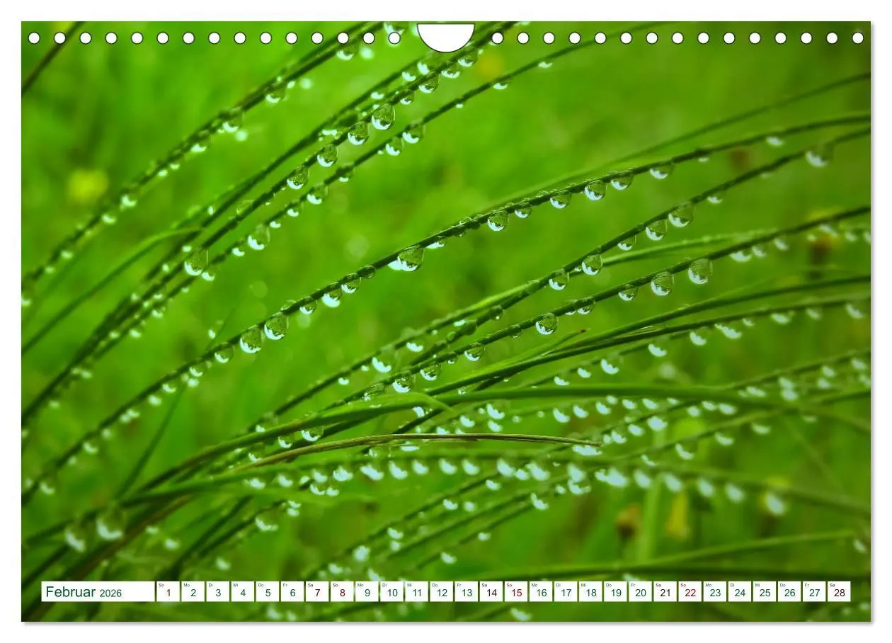 Bild: 9783457907054 | GRÜN . Die Kraft der Natur (Wandkalender 2026 DIN A4 quer),...