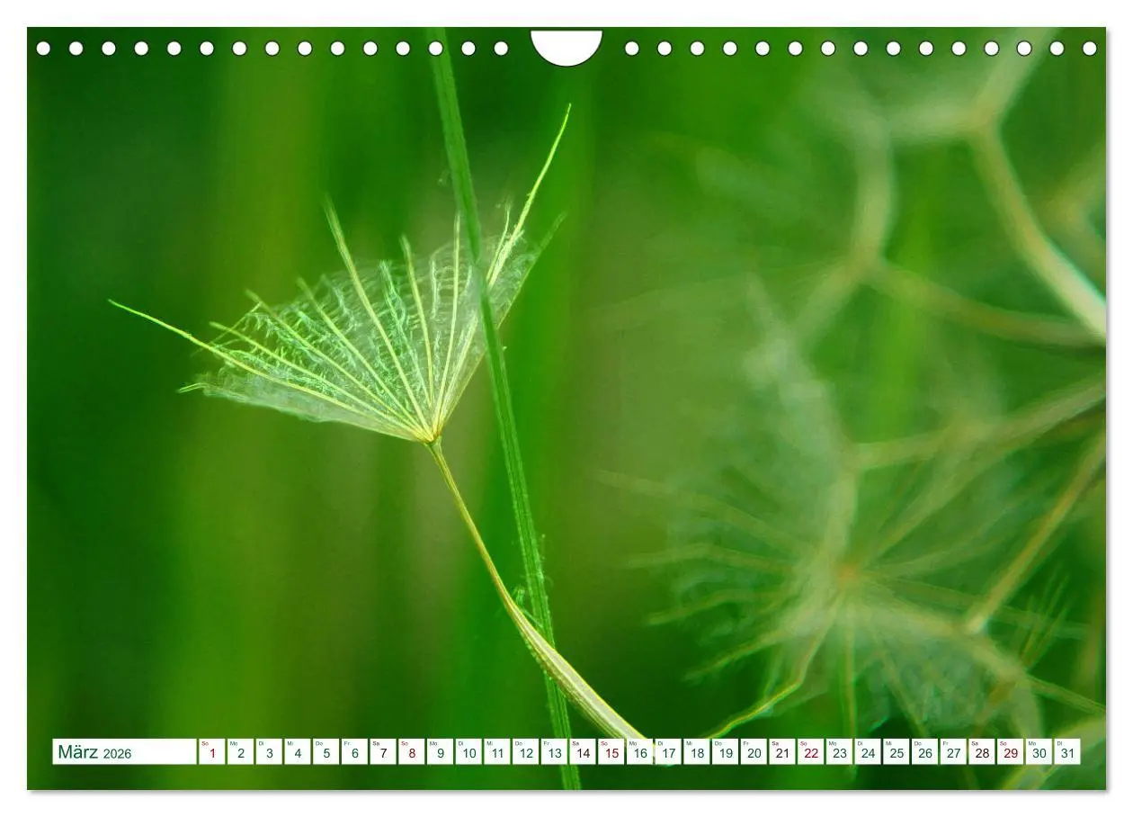 Bild: 9783457907054 | GRÜN . Die Kraft der Natur (Wandkalender 2026 DIN A4 quer),...