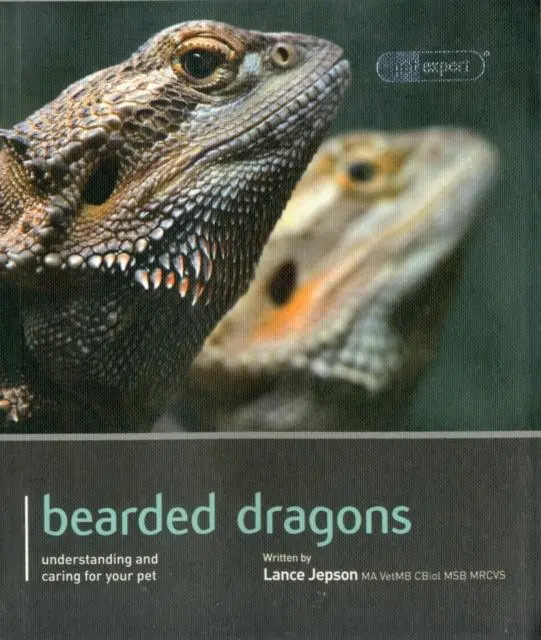 Cover: 9781907337154 | Bearded Dragon - Pet Expert | Lance Jepson | Taschenbuch | Englisch