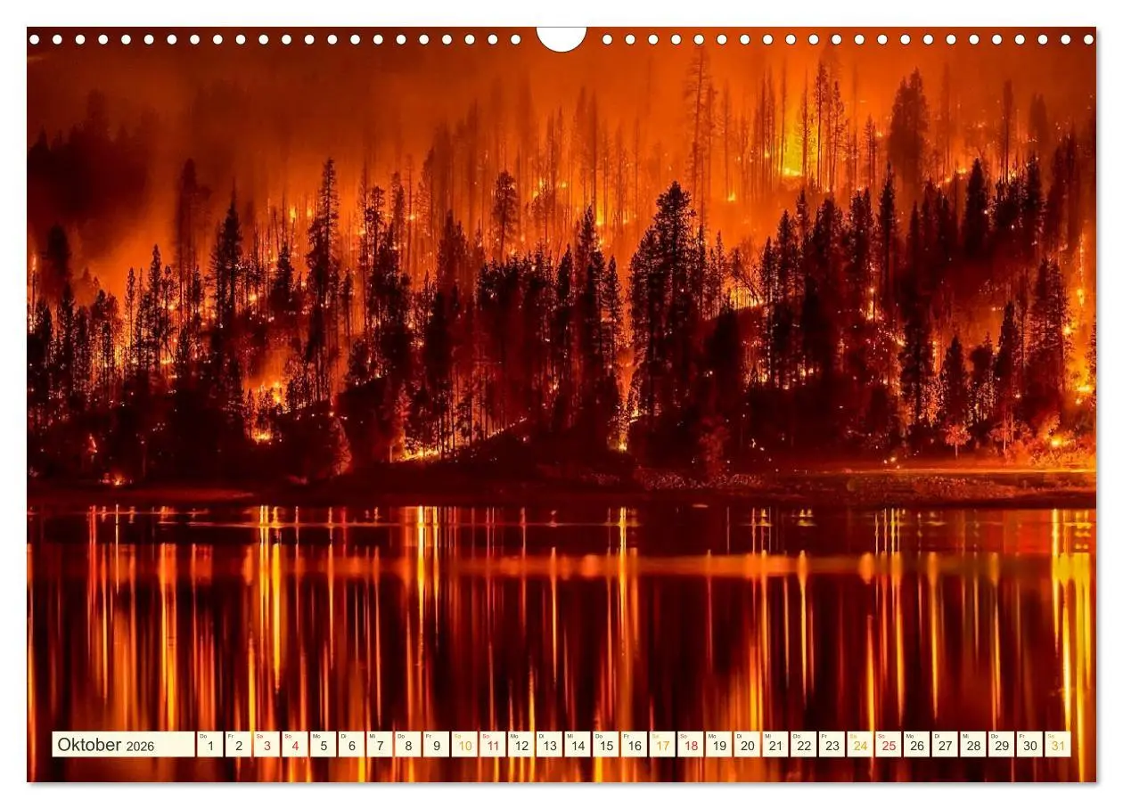 Bild: 9783457687154 | Wunder in der Natur (Wandkalender 2026 DIN A3 quer), CALVENDO...