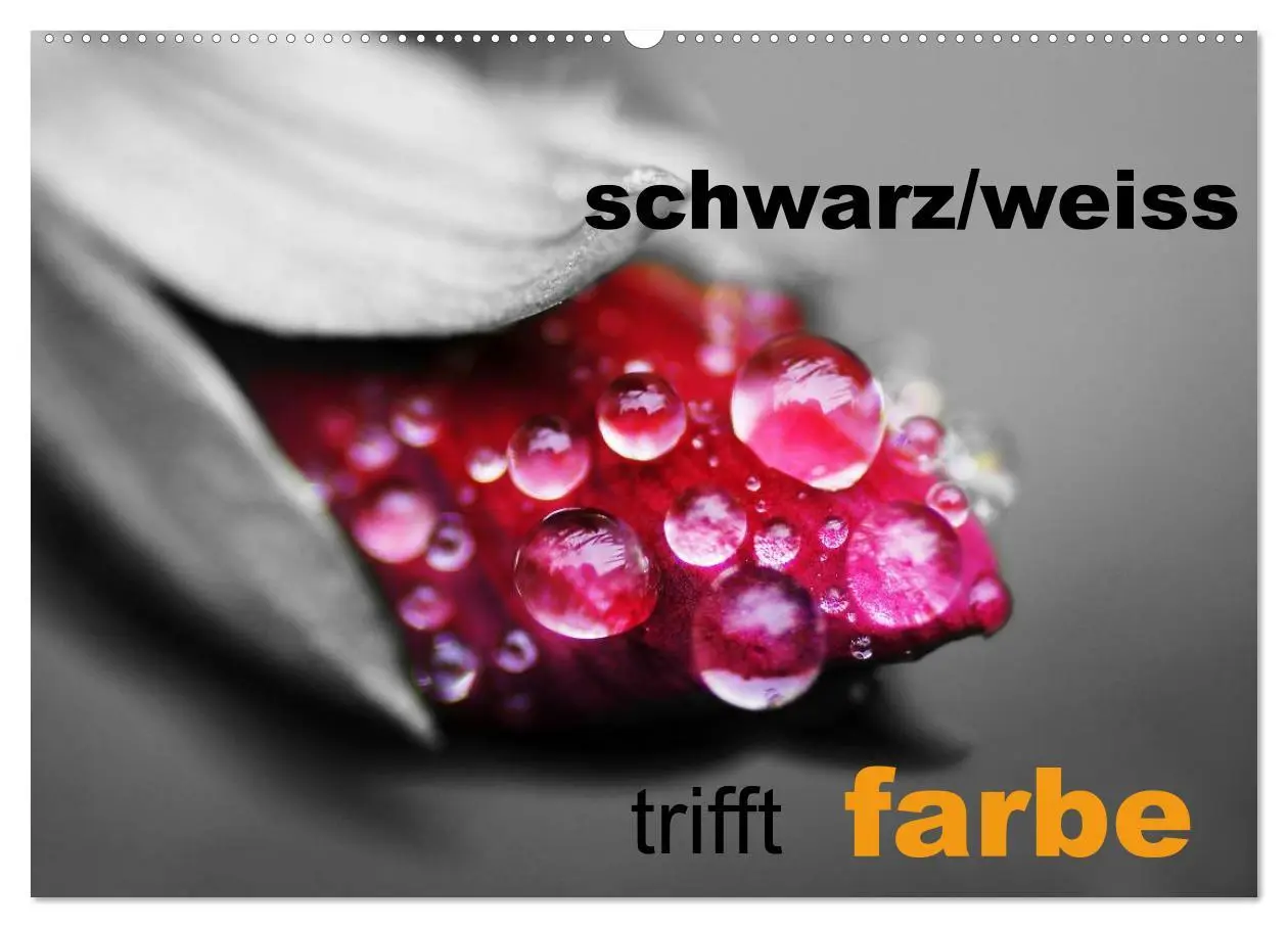 Cover: 9783516157154 | schwarz/weiß trifft farbe (Wandkalender 2026 DIN A2 quer), CALVENDO...