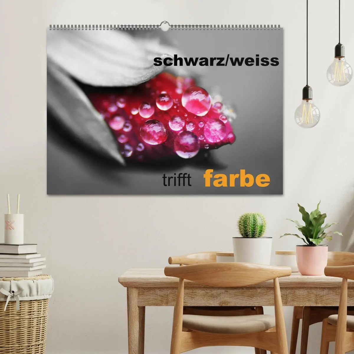 Bild: 9783516157154 | schwarz/weiß trifft farbe (Wandkalender 2026 DIN A2 quer), CALVENDO...