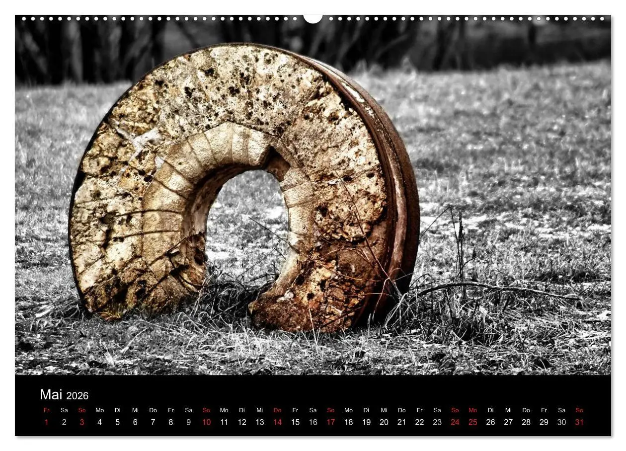 Bild: 9783516157154 | schwarz/weiß trifft farbe (Wandkalender 2026 DIN A2 quer), CALVENDO...