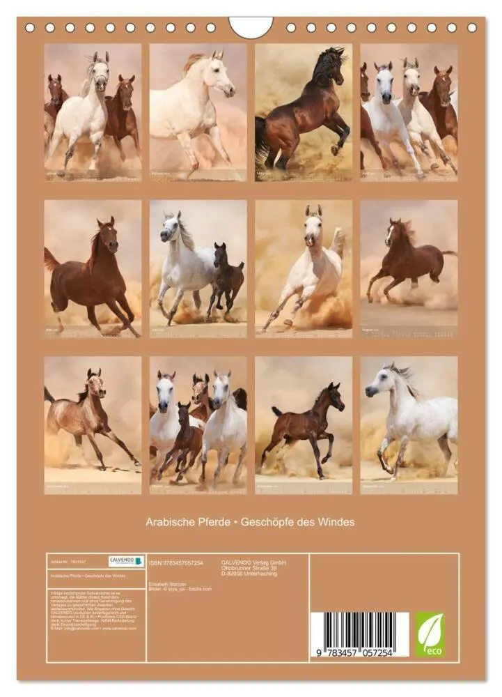 Bild: 9783457057254 | Arabische Pferde - Geschöpfe des Windes (Wandkalender 2025 DIN A4...