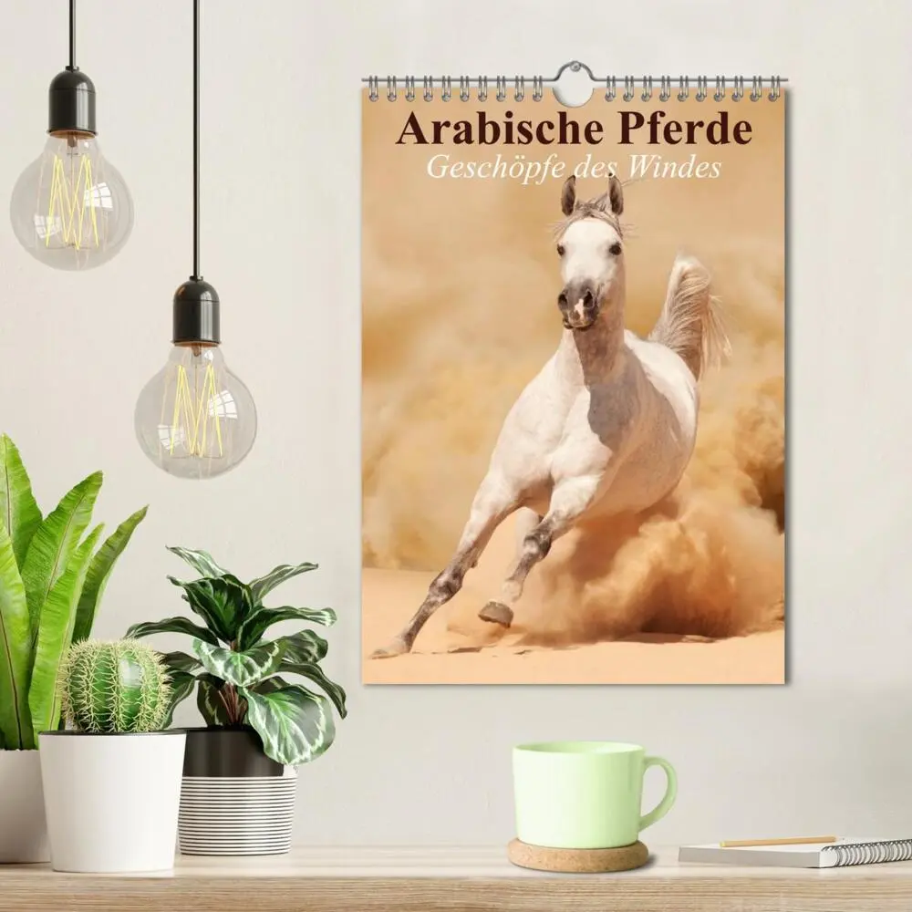 Bild: 9783457057254 | Arabische Pferde - Geschöpfe des Windes (Wandkalender 2025 DIN A4...