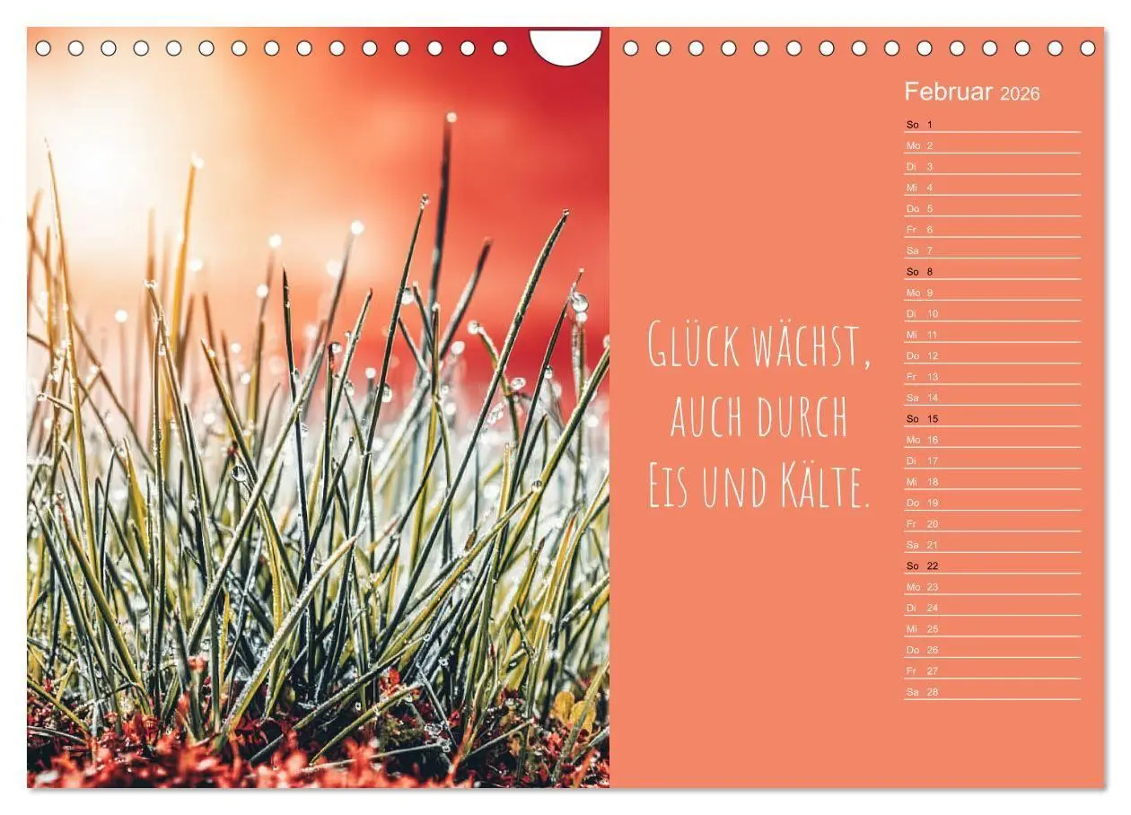 Bild: 9783516697254 | Eine Portion Glück - Motivationskalender fürs ganze Jahr...