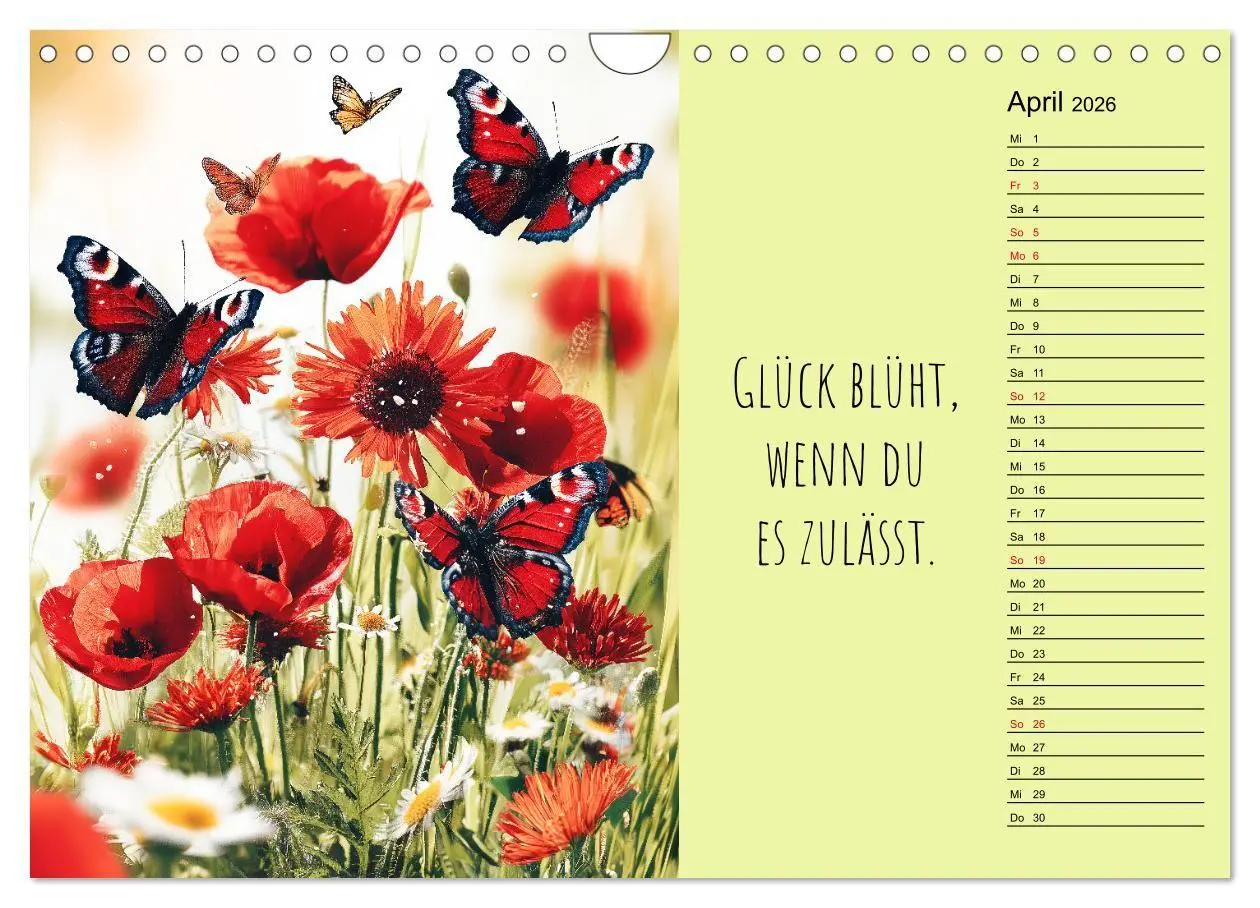 Bild: 9783516697254 | Eine Portion Glück - Motivationskalender fürs ganze Jahr...