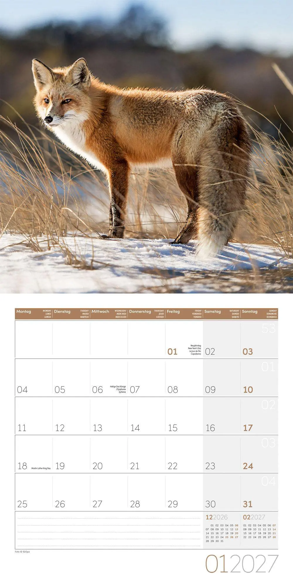 Bild: 9783838447254 | Füchse Kalender 2027 - 30x30 - Art12 | Ackermann Kunstverlag GmbH
