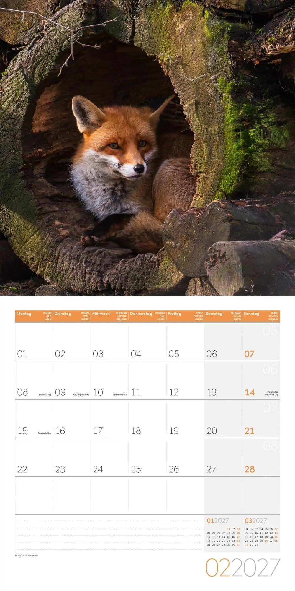 Bild: 9783838447254 | Füchse Kalender 2027 - 30x30 - Art12 | Ackermann Kunstverlag GmbH