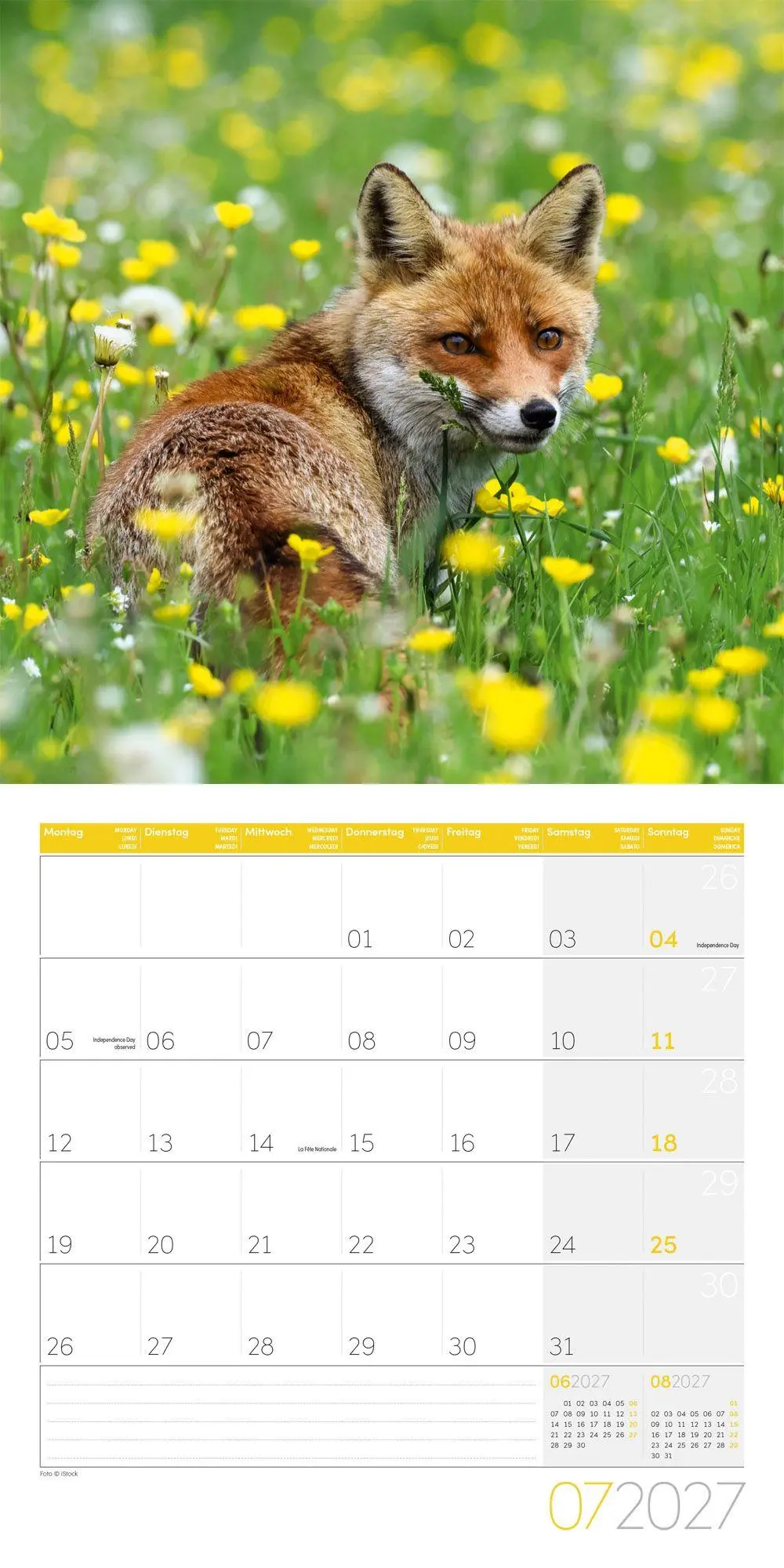 Bild: 9783838447254 | Füchse Kalender 2027 - 30x30 - Art12 | Ackermann Kunstverlag GmbH