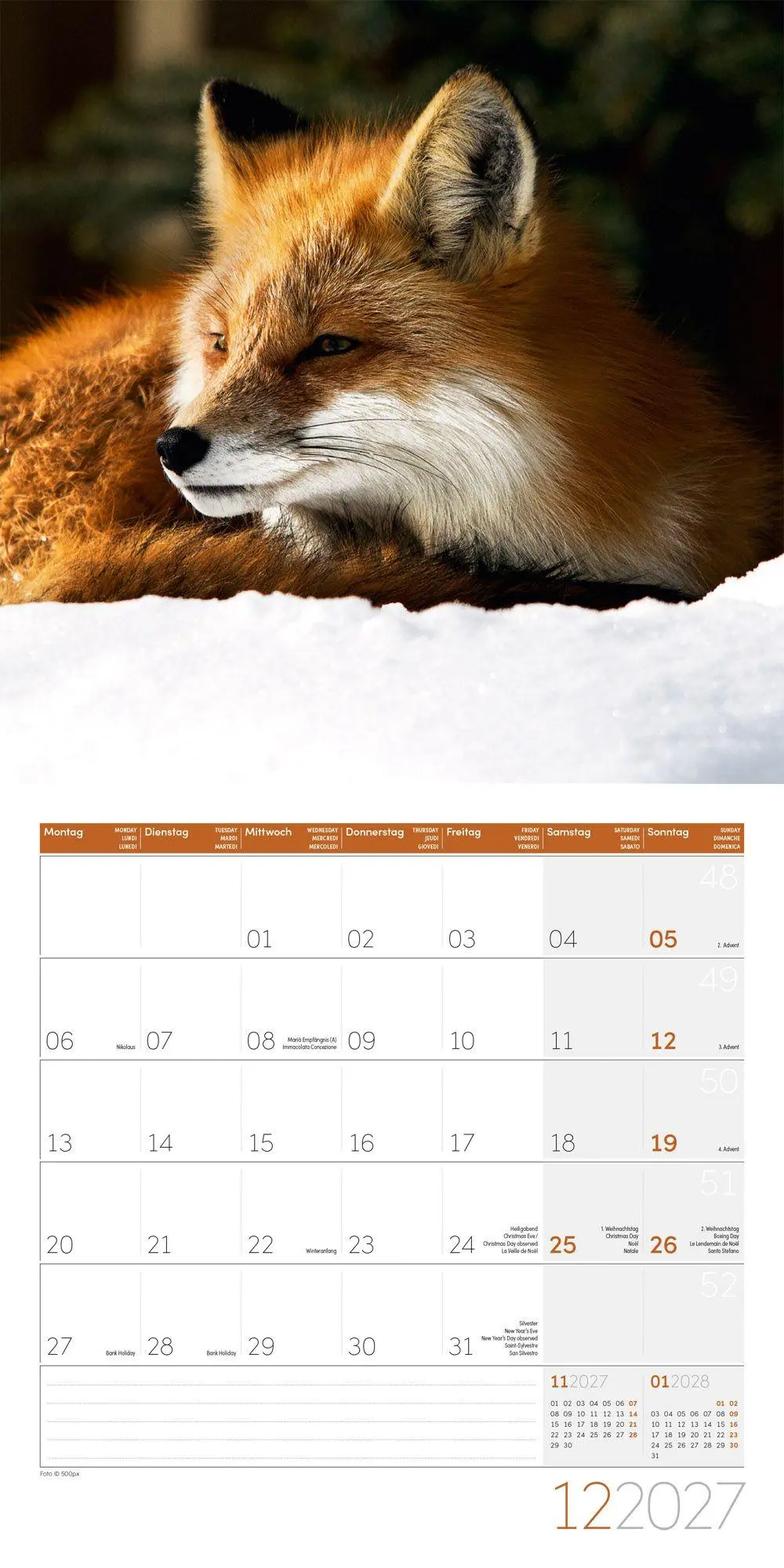 Bild: 9783838447254 | Füchse Kalender 2027 - 30x30 - Art12 | Ackermann Kunstverlag GmbH