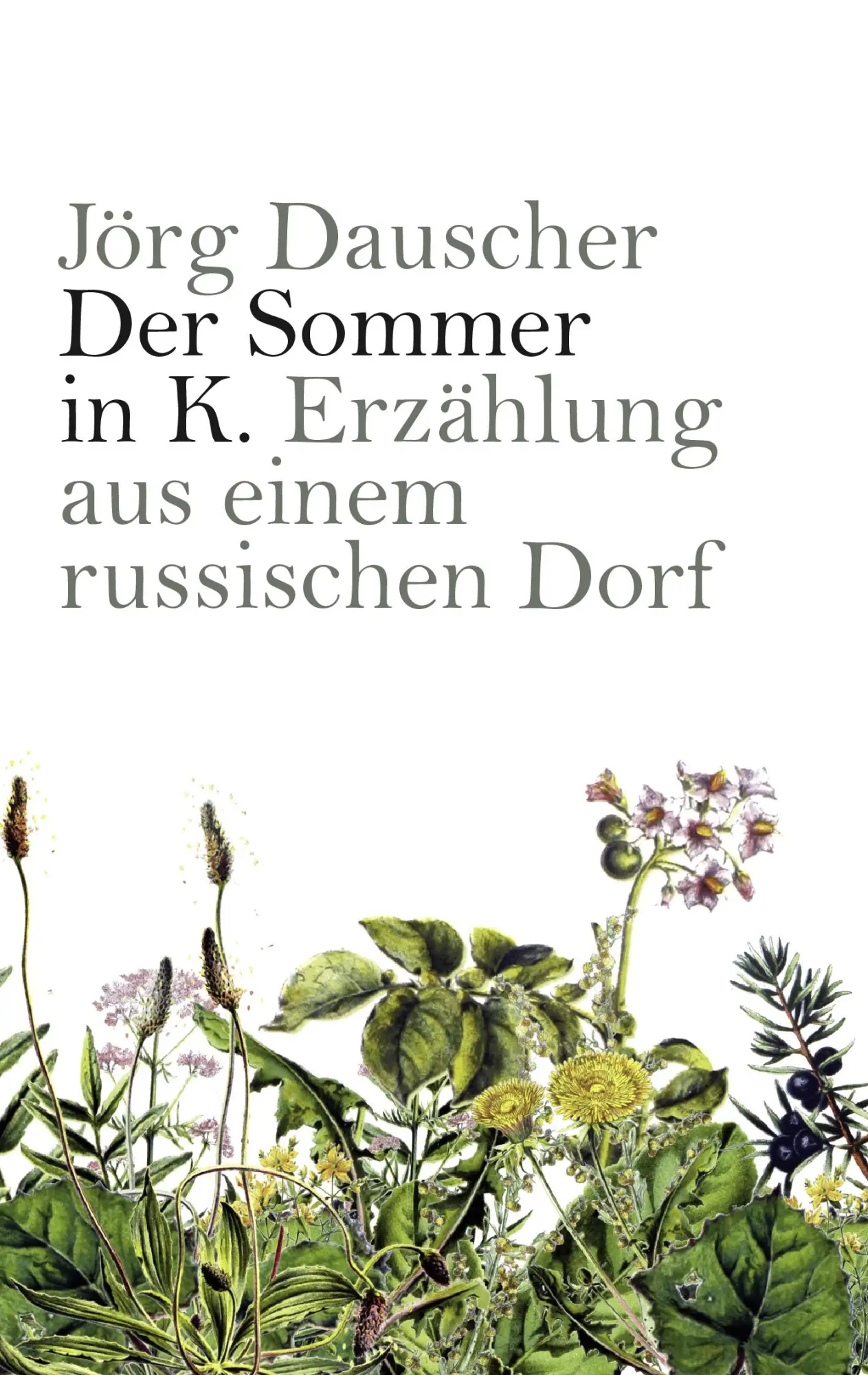 Cover: 9783839127254 | Der Sommer in K. | Erzählung aus einem russischen Dorf | Jörg Dauscher