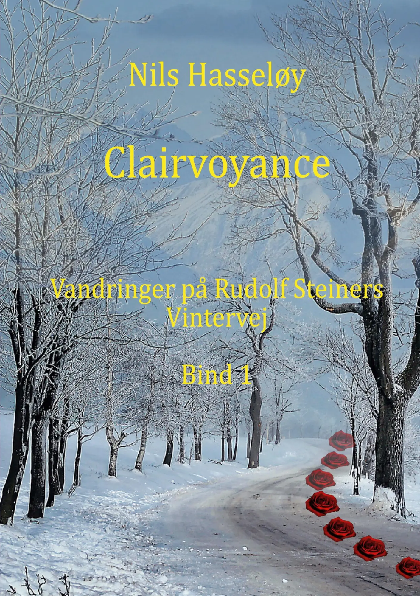 Cover: 9788743047254 | Clairvoyance | Vandringer på Rudolf Steiners vintervej · Bind 1 | Buch