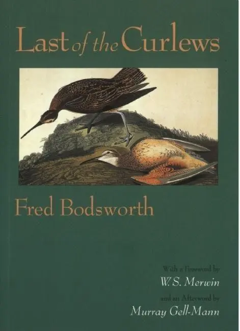 Cover: 9781582437354 | Last of the Curlews | Fred Bodsworth | Taschenbuch | Englisch | 2011