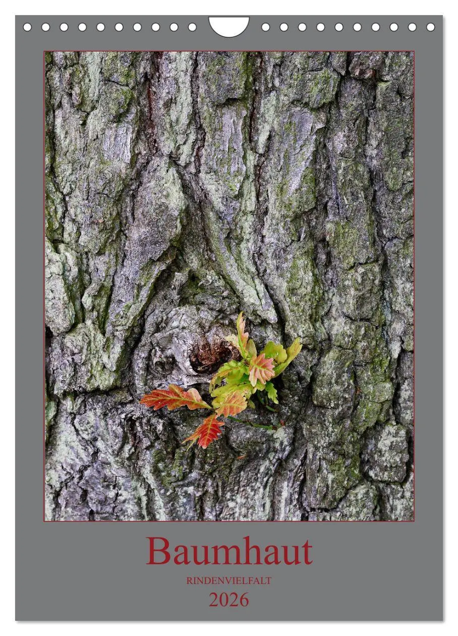 Cover: 9783516377354 | Baumhaut (Wandkalender 2026 DIN A4 hoch), CALVENDO Monatskalender