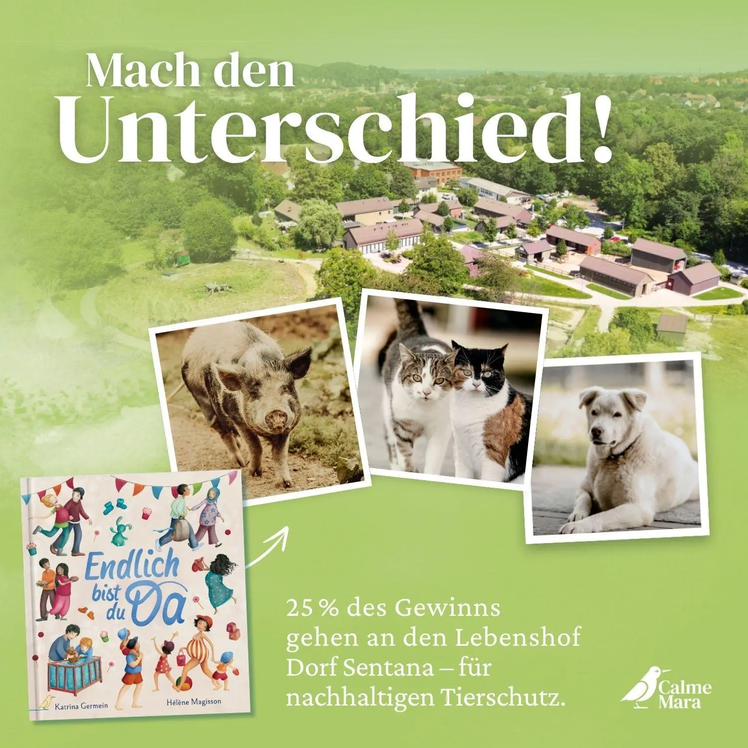 Bild: 9783948877354 | Endlich bist du da | Katrina Germein | Buch | 36 S. | Deutsch | 2023