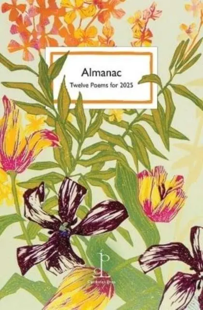 Cover: 9781913627454 | Almanac | Twelve Poems for 2025 | Di Slaney | Taschenbuch | Englisch