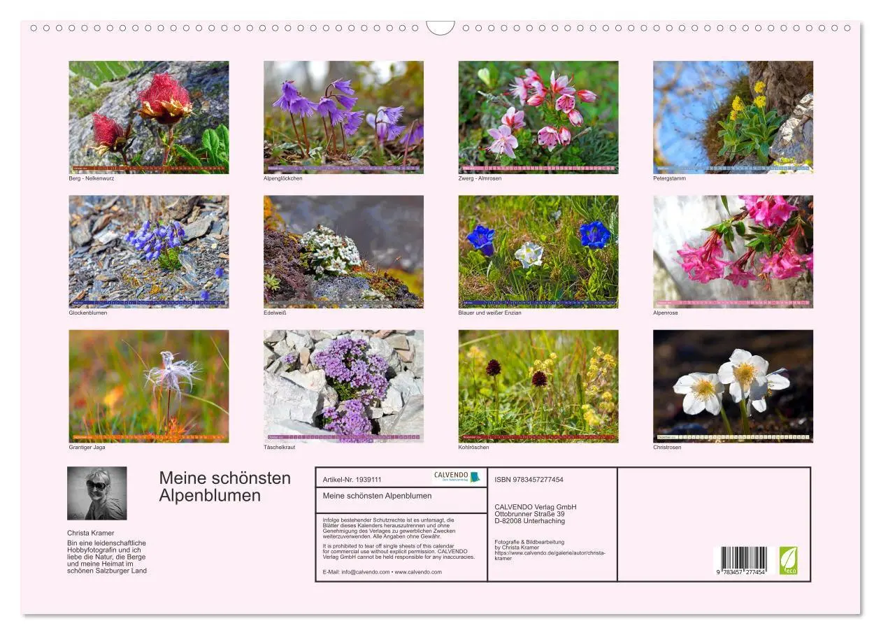 Bild: 9783457277454 | Meine schönsten Alpenblumen (Wandkalender 2026 DIN A2 quer),...