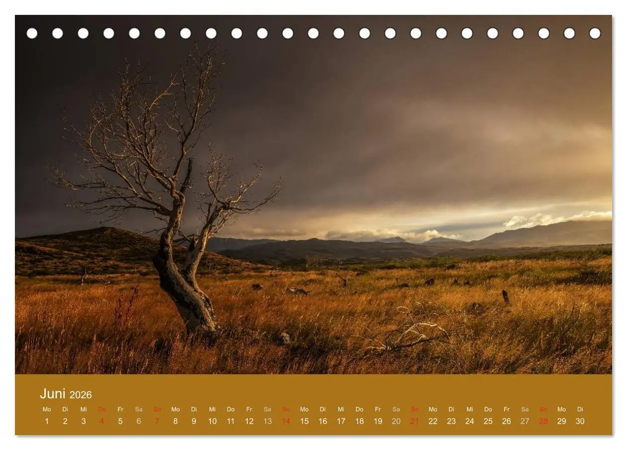 Bild: 9783516057454 | Farbenfrohes Patagonien (Tischkalender 2026 DIN A5 quer), CALVENDO...