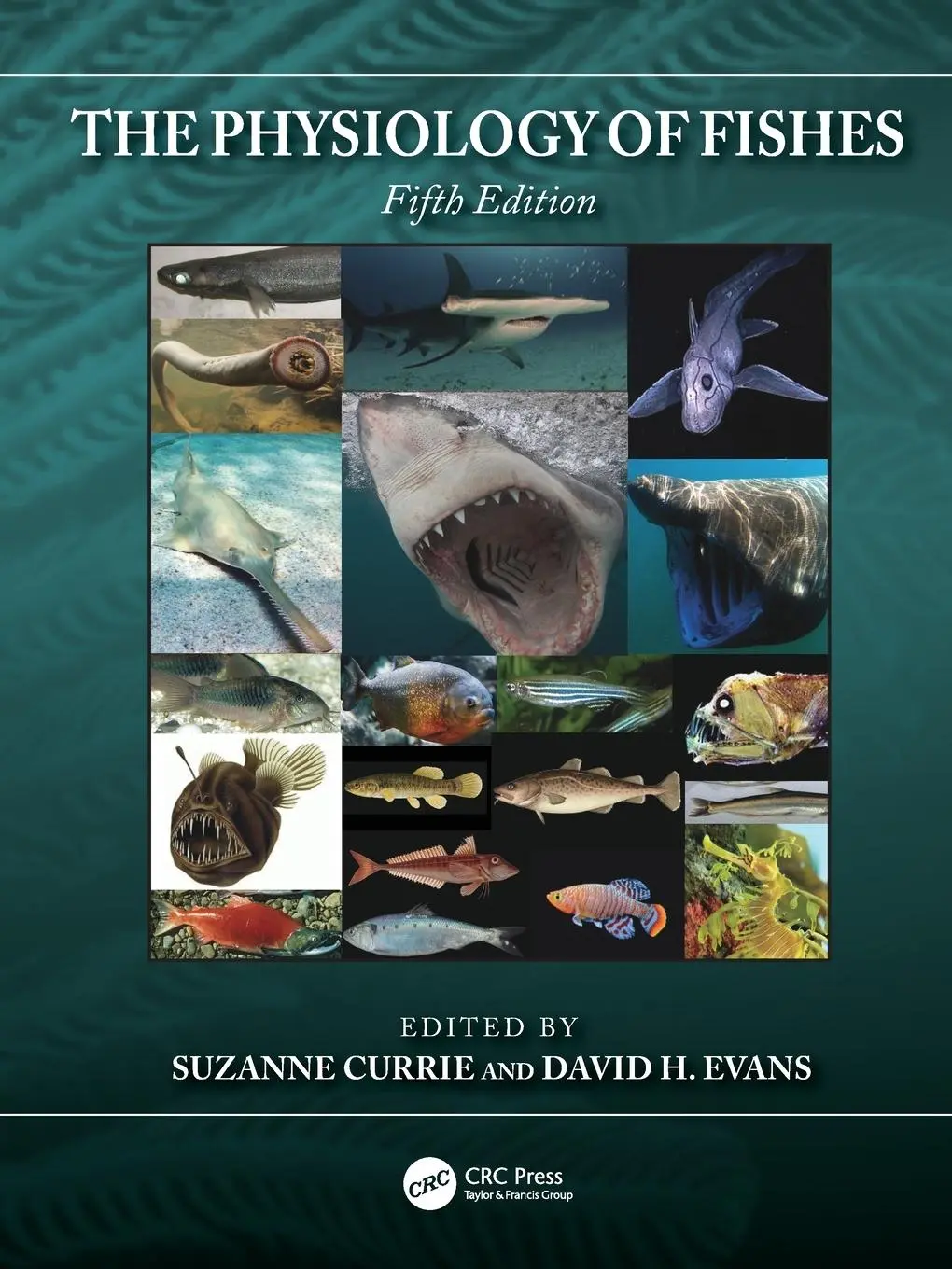 Cover: 9780367477554 | The Physiology of Fishes | David H. Evans (u. a.) | Taschenbuch | 2020