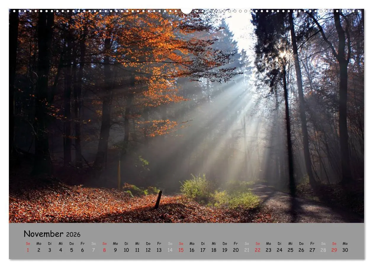 Bild: 9783516107654 | Lüneburger Heide - schön zu jeder Jahreszeit (Wandkalender 2026 DIN...