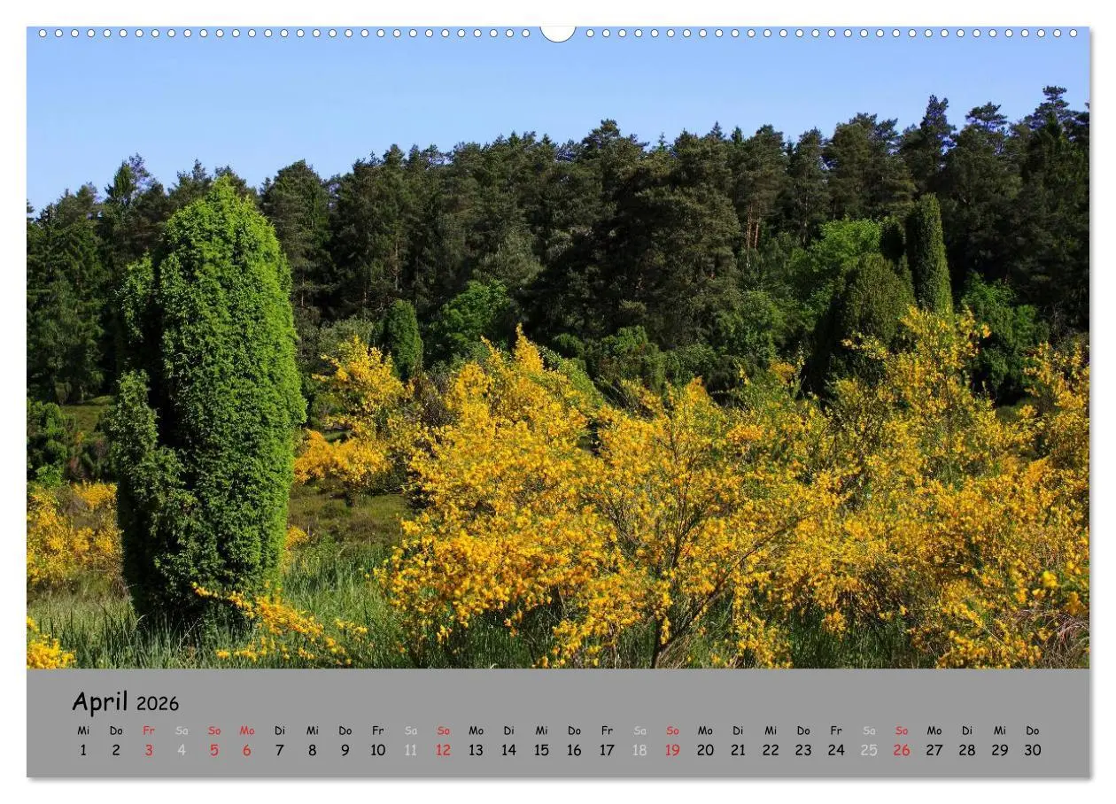 Bild: 9783516107654 | Lüneburger Heide - schön zu jeder Jahreszeit (Wandkalender 2026 DIN...
