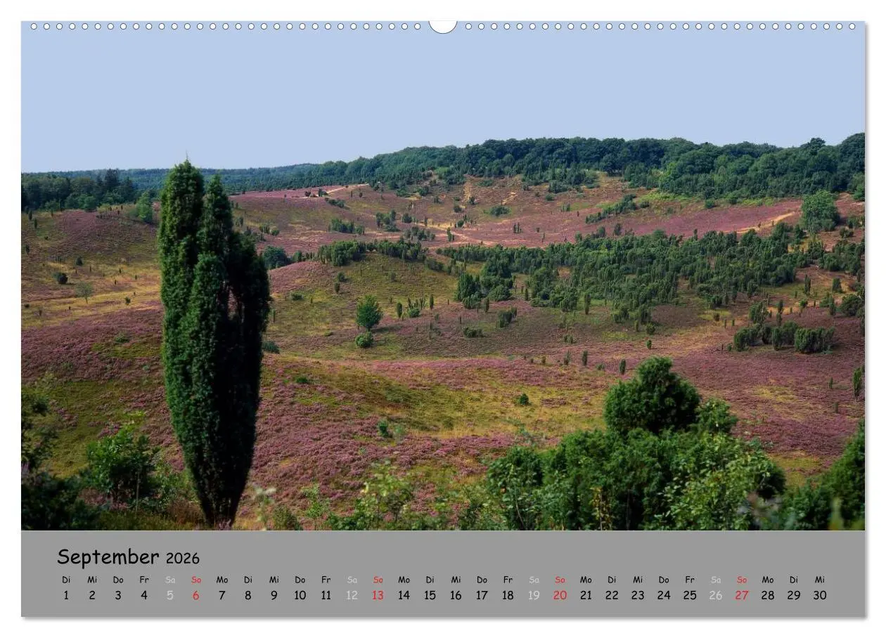 Bild: 9783516107654 | Lüneburger Heide - schön zu jeder Jahreszeit (Wandkalender 2026 DIN...