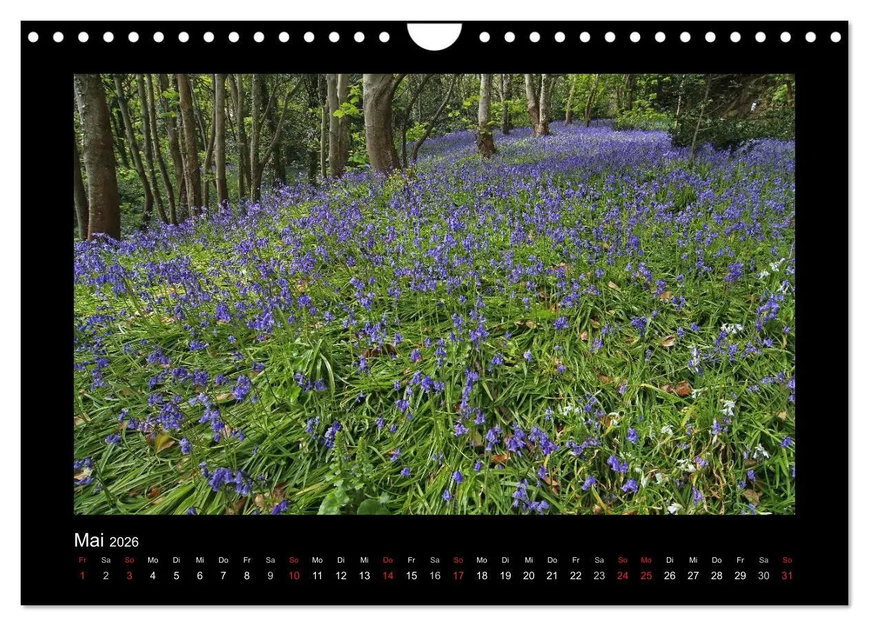 Bild: 9783516187854 | Kanalinseln 2026 (Wandkalender 2026 DIN A4 quer), CALVENDO...