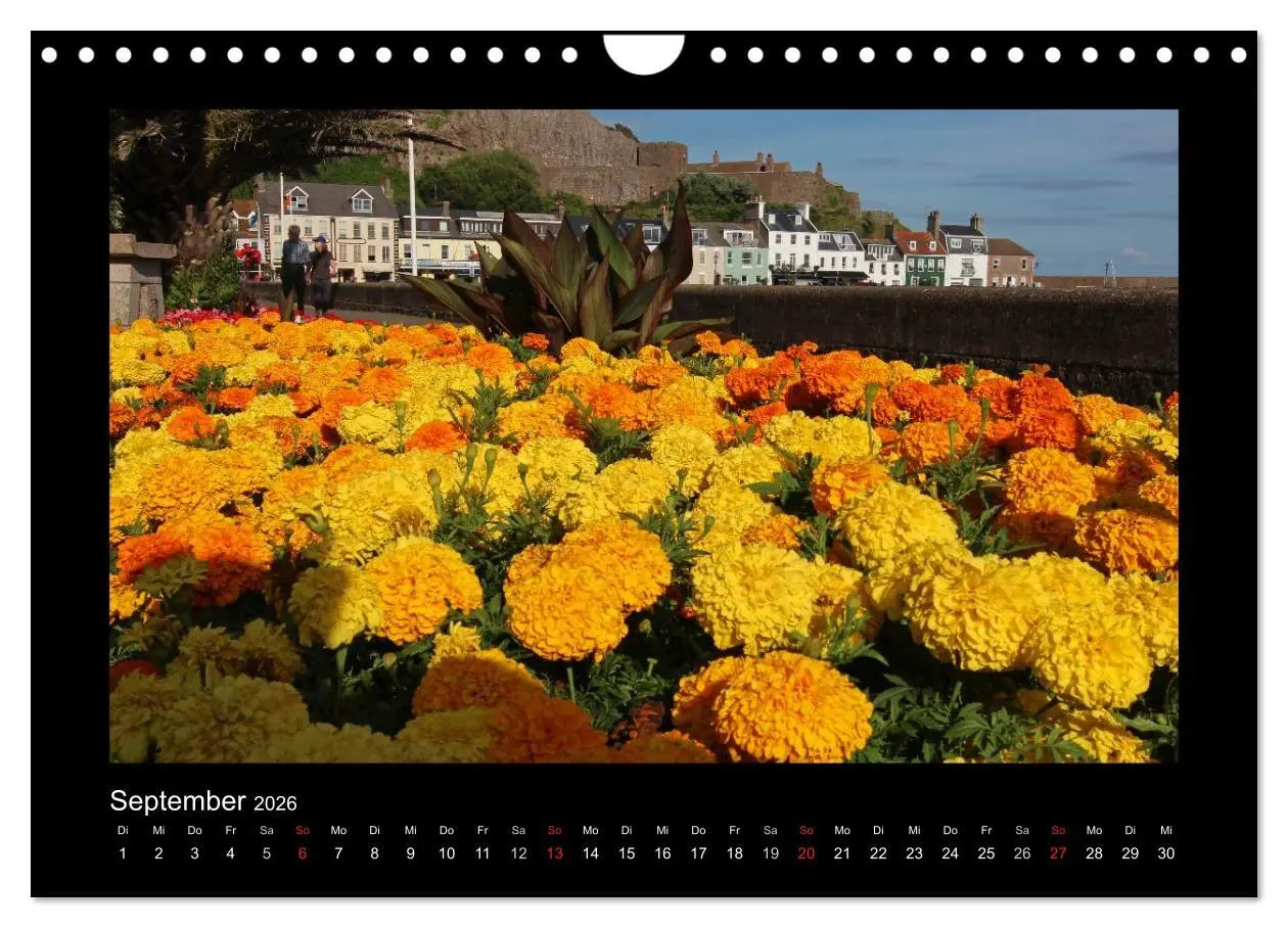 Bild: 9783516187854 | Kanalinseln 2026 (Wandkalender 2026 DIN A4 quer), CALVENDO...