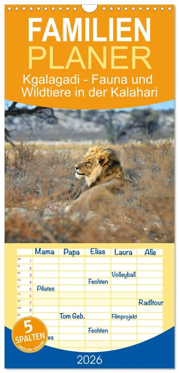 Cover: 9783516497854 | Familienplaner 2026 - Kgalagadi - Fauna und Wildtiere in der...