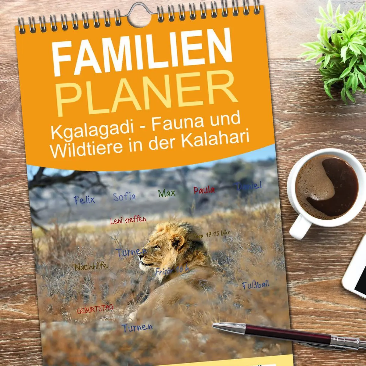 Bild: 9783516497854 | Familienplaner 2026 - Kgalagadi - Fauna und Wildtiere in der...