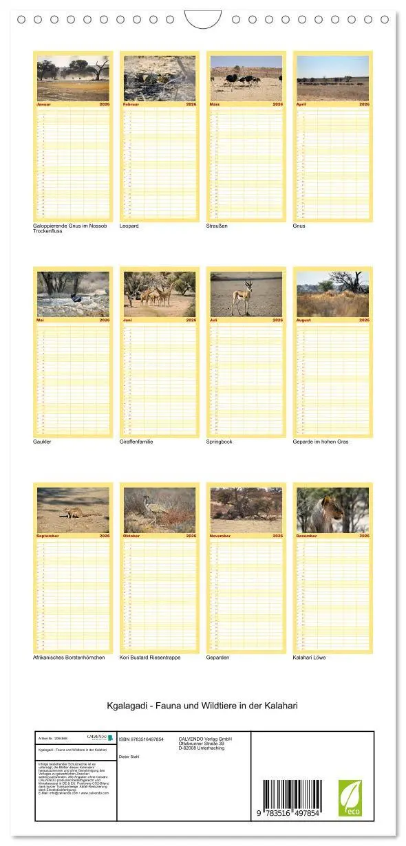 Bild: 9783516497854 | Familienplaner 2026 - Kgalagadi - Fauna und Wildtiere in der...
