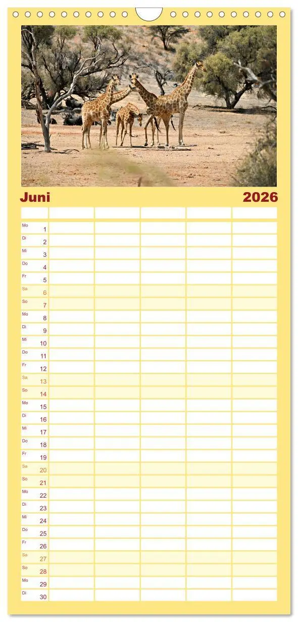 Bild: 9783516497854 | Familienplaner 2026 - Kgalagadi - Fauna und Wildtiere in der...