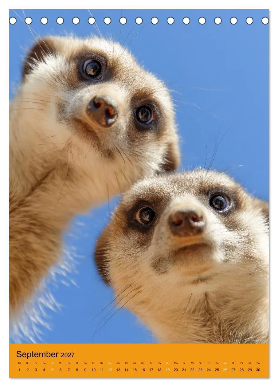 Bild: 9783516867954 | Die Erdmännchen Familie - Kalender der niedlichen Tiere...