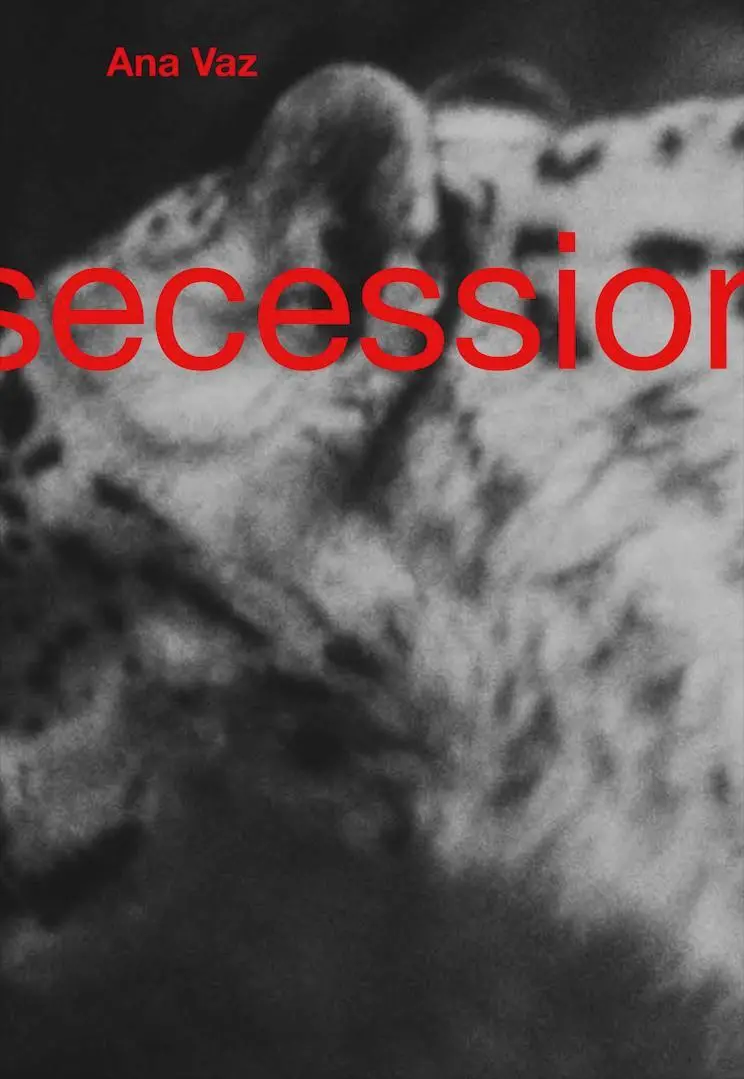 Cover: 9783753307954 | Ana Vaz | Secession, Wien | Ana Vaz | Taschenbuch | 96 S. | Englisch