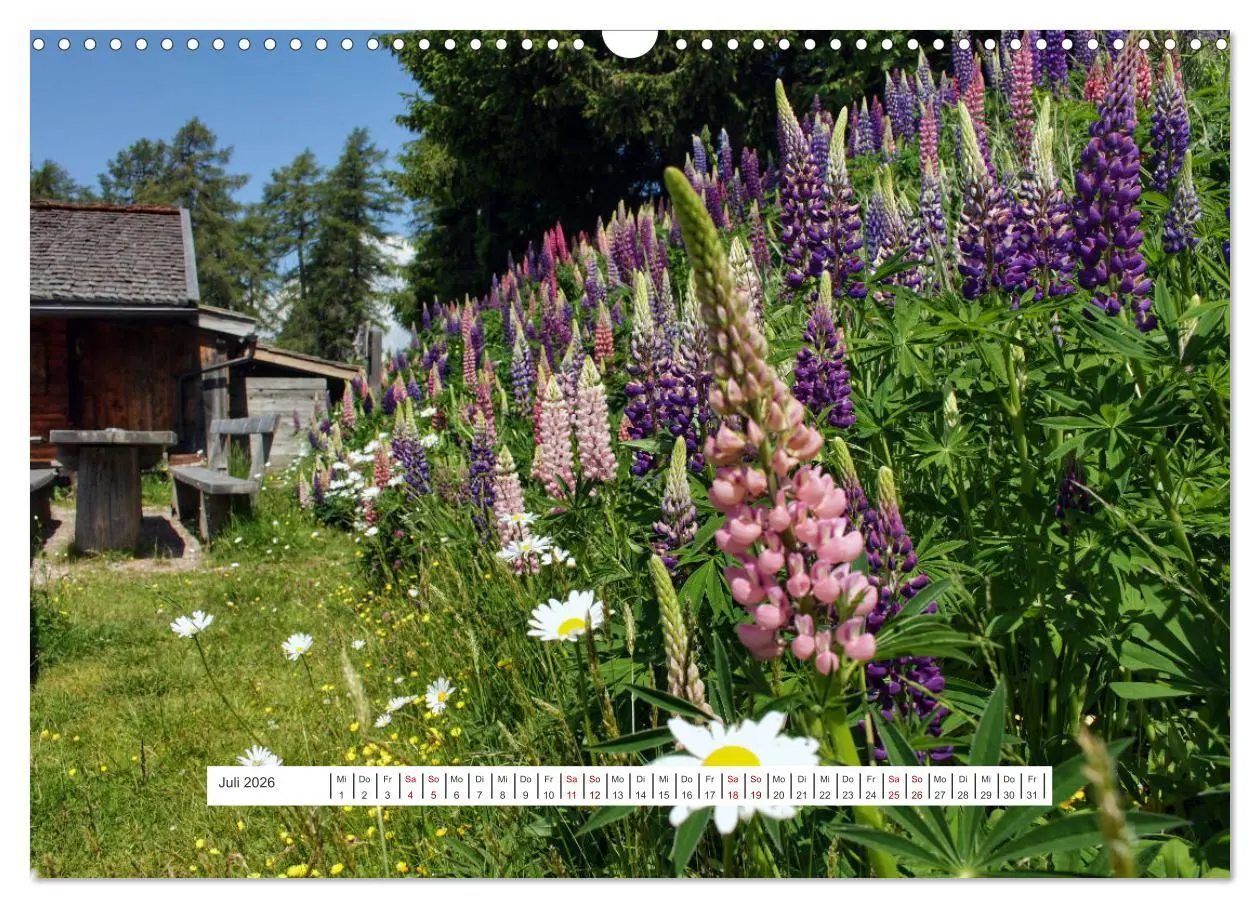 Bild: 9783457598054 | Zauber der Berglandschaft (Wandkalender 2026 DIN A3 quer), CALVENDO...