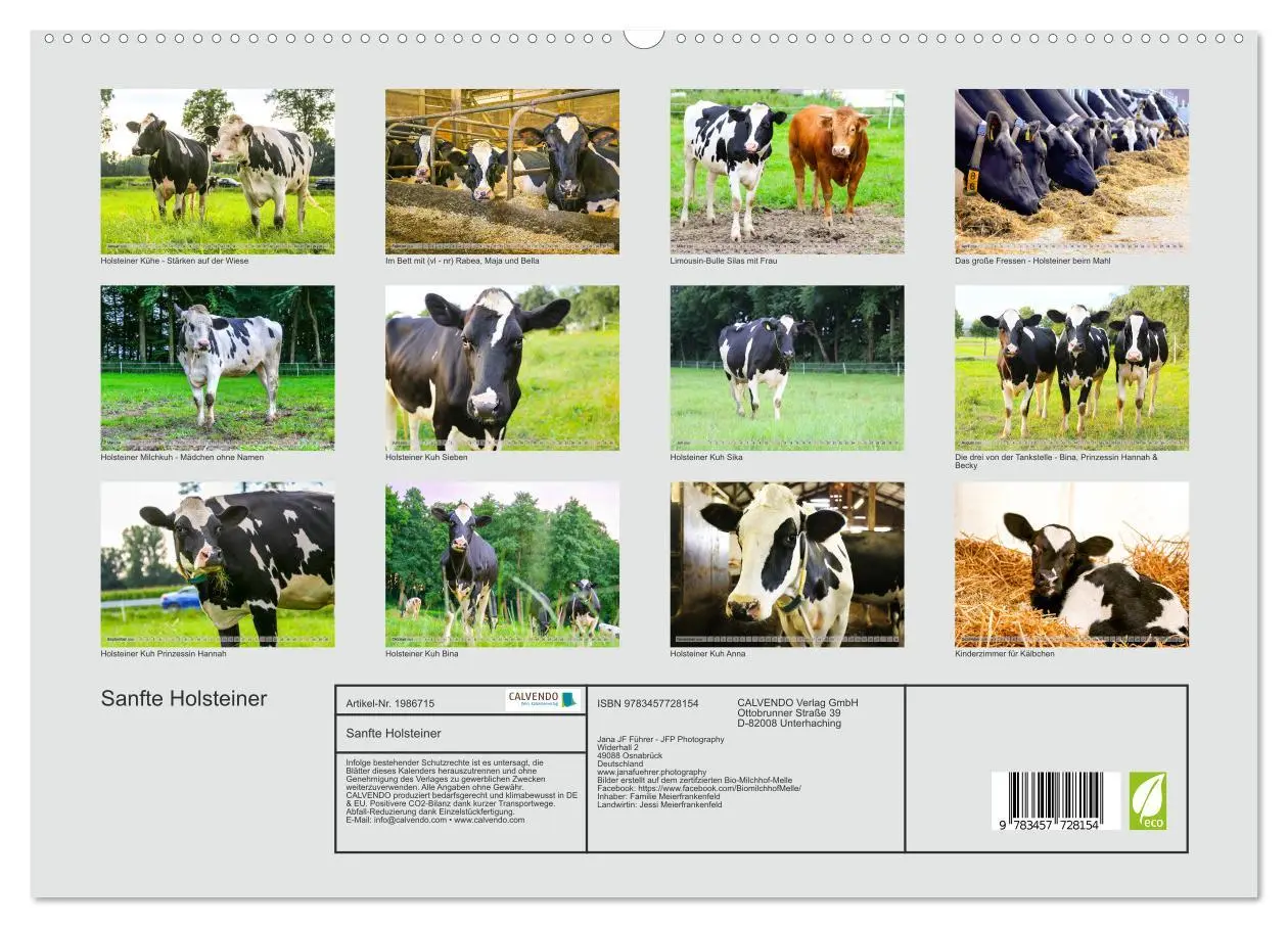 Bild: 9783457728154 | Sanfte Holsteiner (hochwertiger Premium Wandkalender 2026 DIN A2...