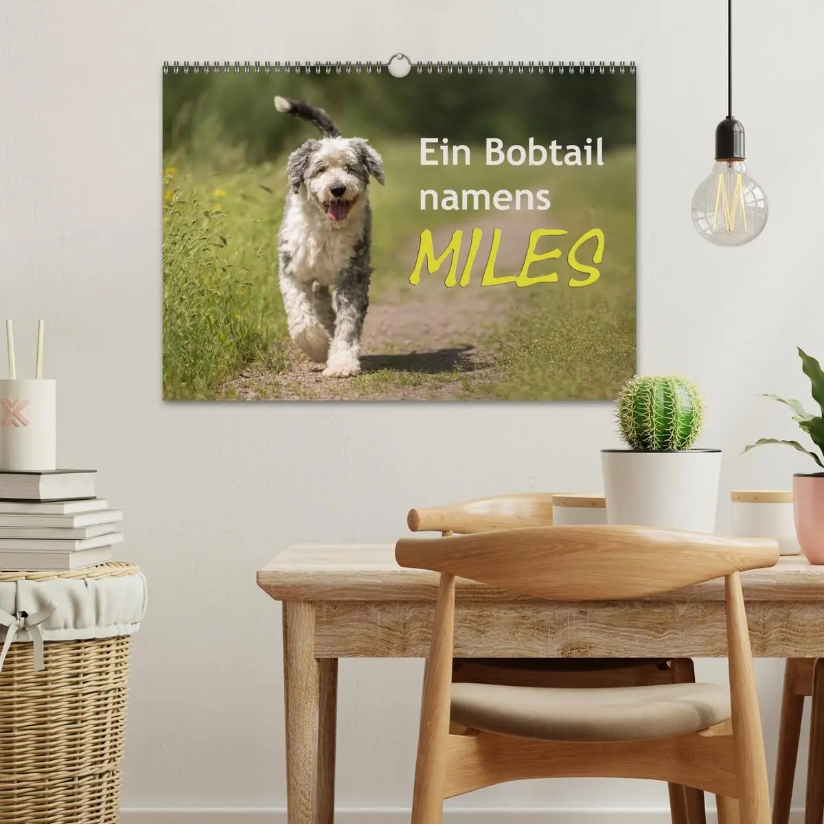 Bild: 9783516058154 | Ein Bobtail namens Miles (Wandkalender 2026 DIN A3 quer), CALVENDO...