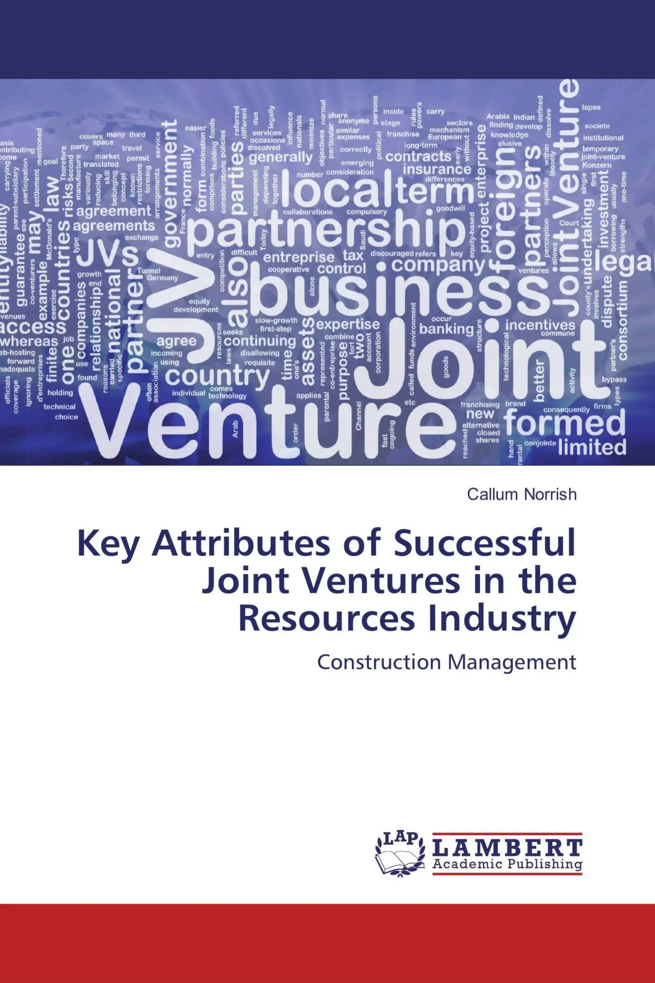 Cover: 9783659928154 | Key Attributes of Successful Joint Ventures in the Resources Industry