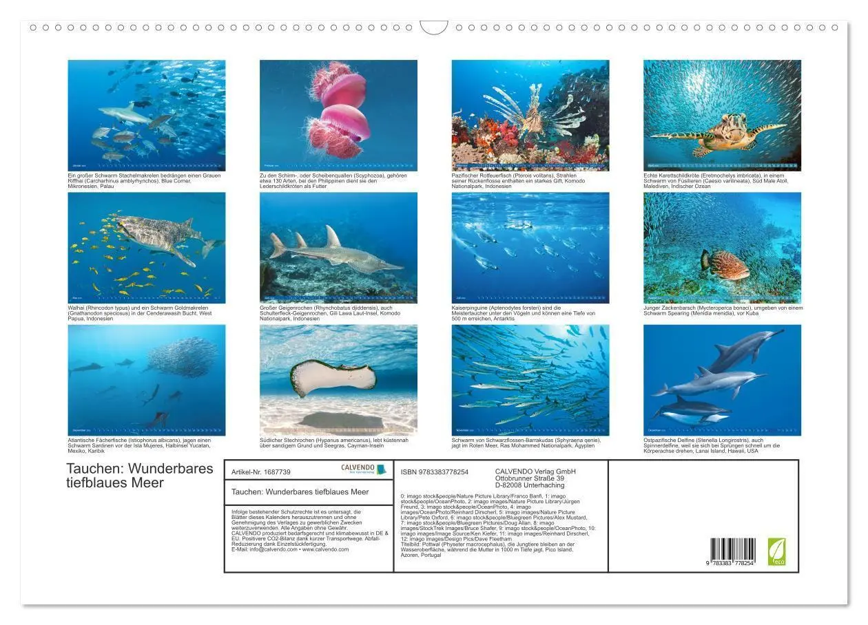 Bild: 9783383778254 | Tauchen: Wunderbares tiefblaues Meer (Wandkalender 2025 DIN A2...