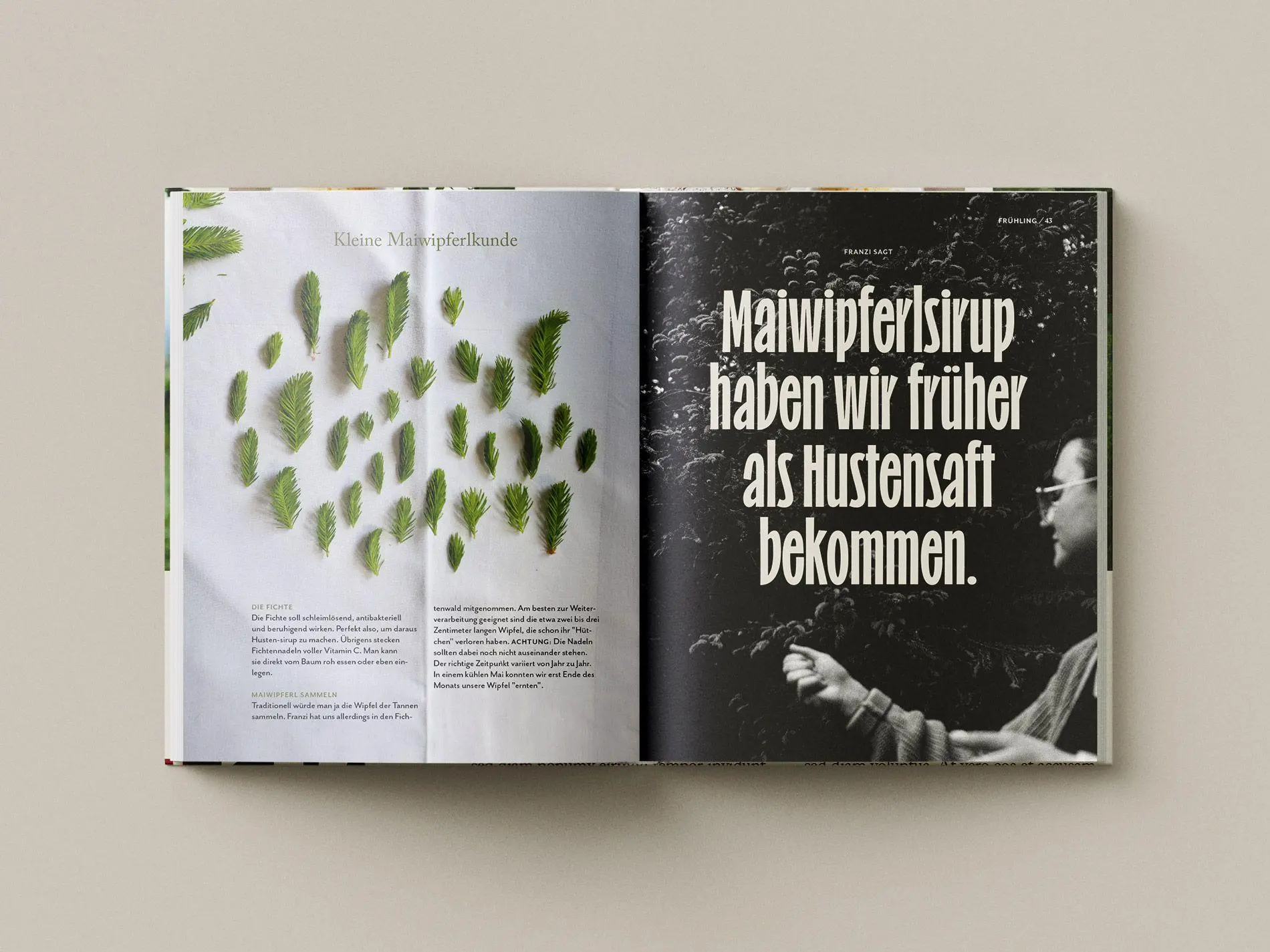 Bild: 9783710608254 | Das Gasthaus in den Tiroler Alpen | Josef Moser (u. a.) | Buch | 2024