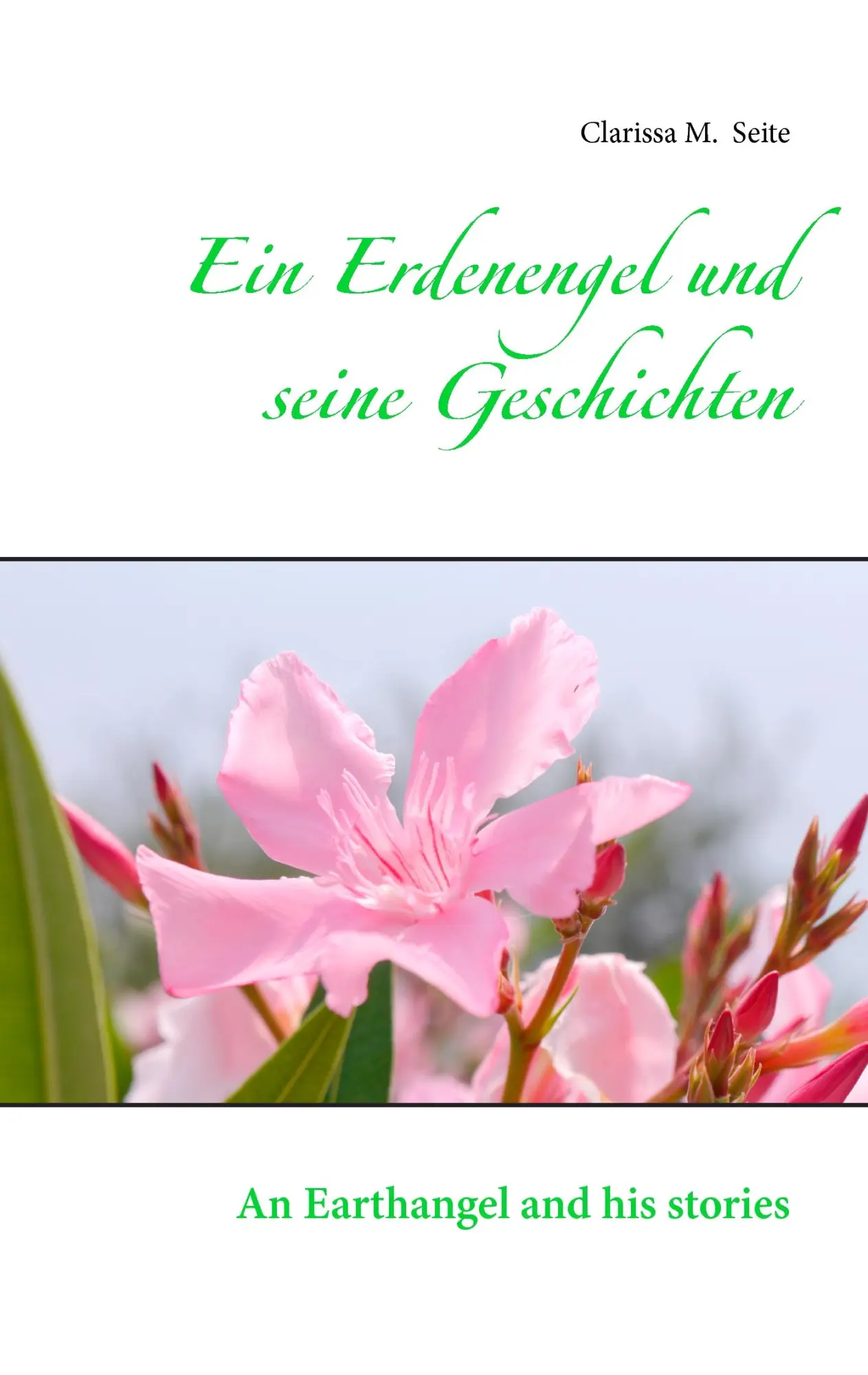 Cover: 9783741228254 | Ein Erdenengel und seine Geschichten | An Earthangel and his stories